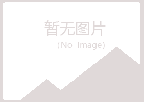 日照东港冰夏金属有限公司